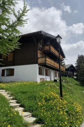 Apartment Konkordia 1